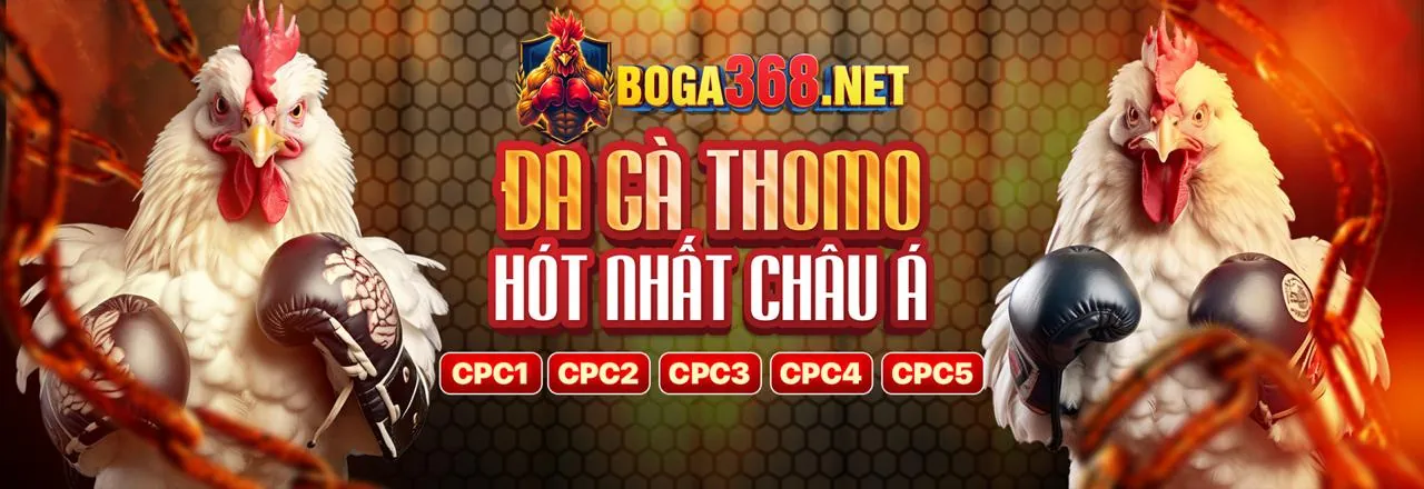 Hình ảnh đại diện 0k9 nhà cái, thể hiện sứ mệnh và tầm nhìn